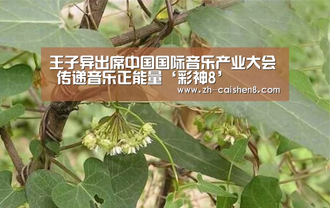 王子异出席中国国际音乐产业大会 传递音乐正能量‘彩神8’(图1) 彩神8
